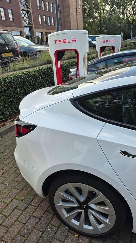 Gebraucht Tesla Model 3 211 kW (287 PS) 2022 Weiß Limousine