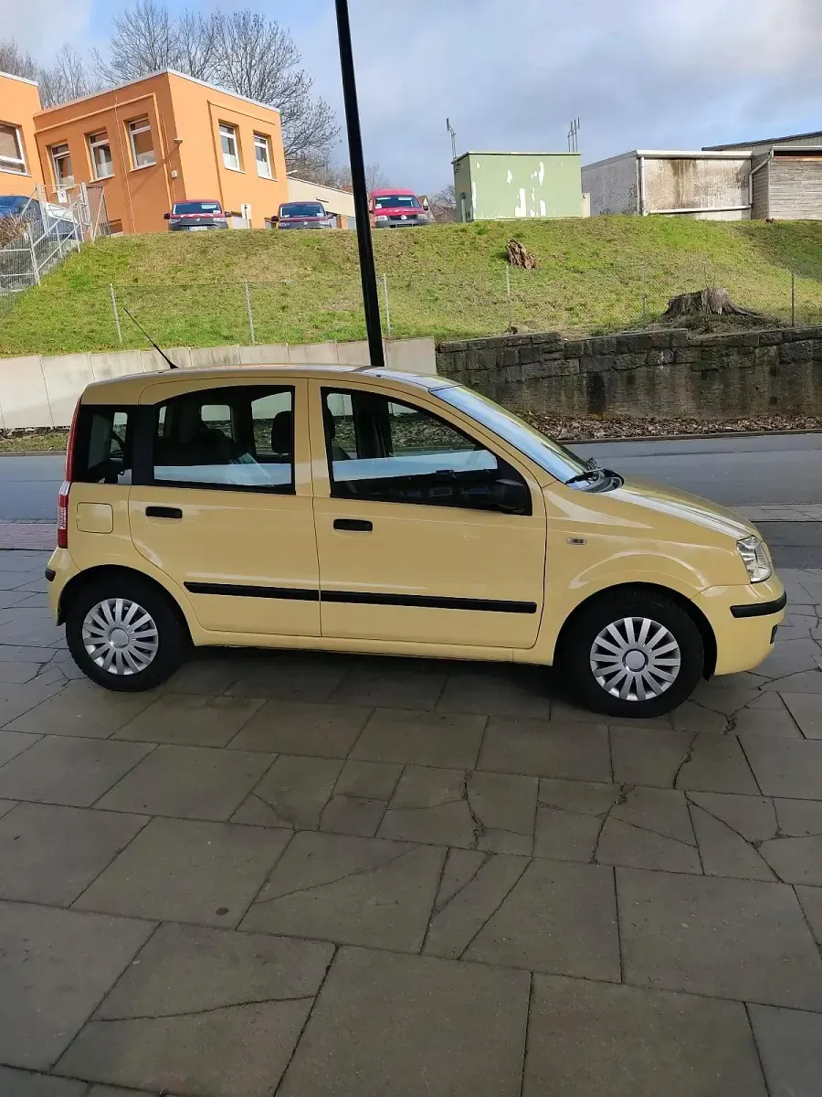 Gebraucht Fiat Panda Dynamic 60 PS (44 kW) 2009 Gelb Kleinwagen