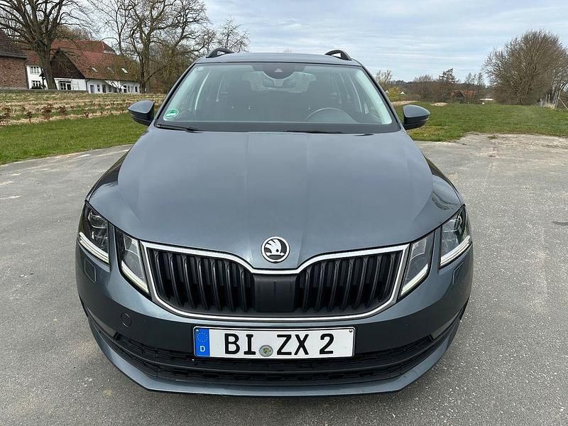 Gebraucht Skoda Octavia Drive 150 PS (110 kW) 2017 Grau Kombi