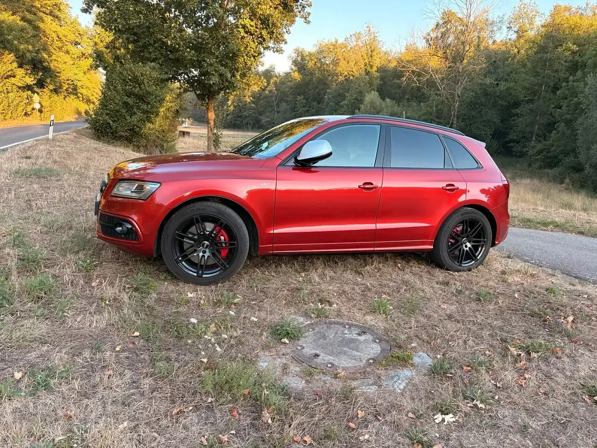 Gebraucht Audi SQ5 Comfort 326 PS (239 kW) 2016 Rot SUV