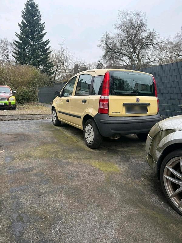 Gebraucht Fiat Panda 60 PS (44 kW) 2009 Gelb Kleinwagen