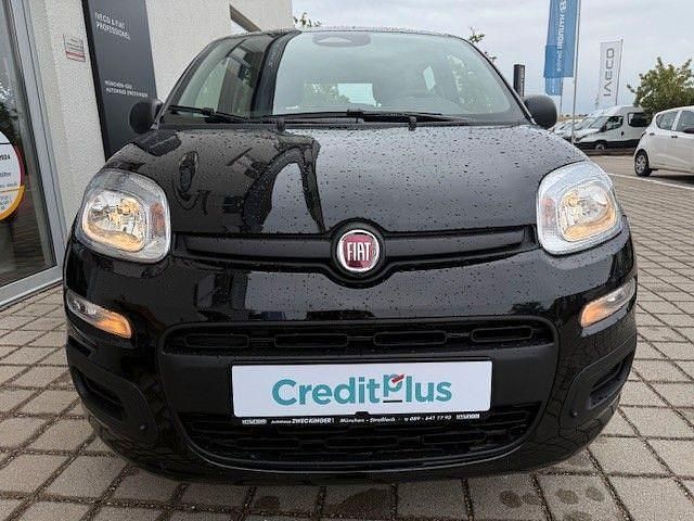 Neu Fiat Panda 69 PS (50 kW) 2025 Schwarz Limousine