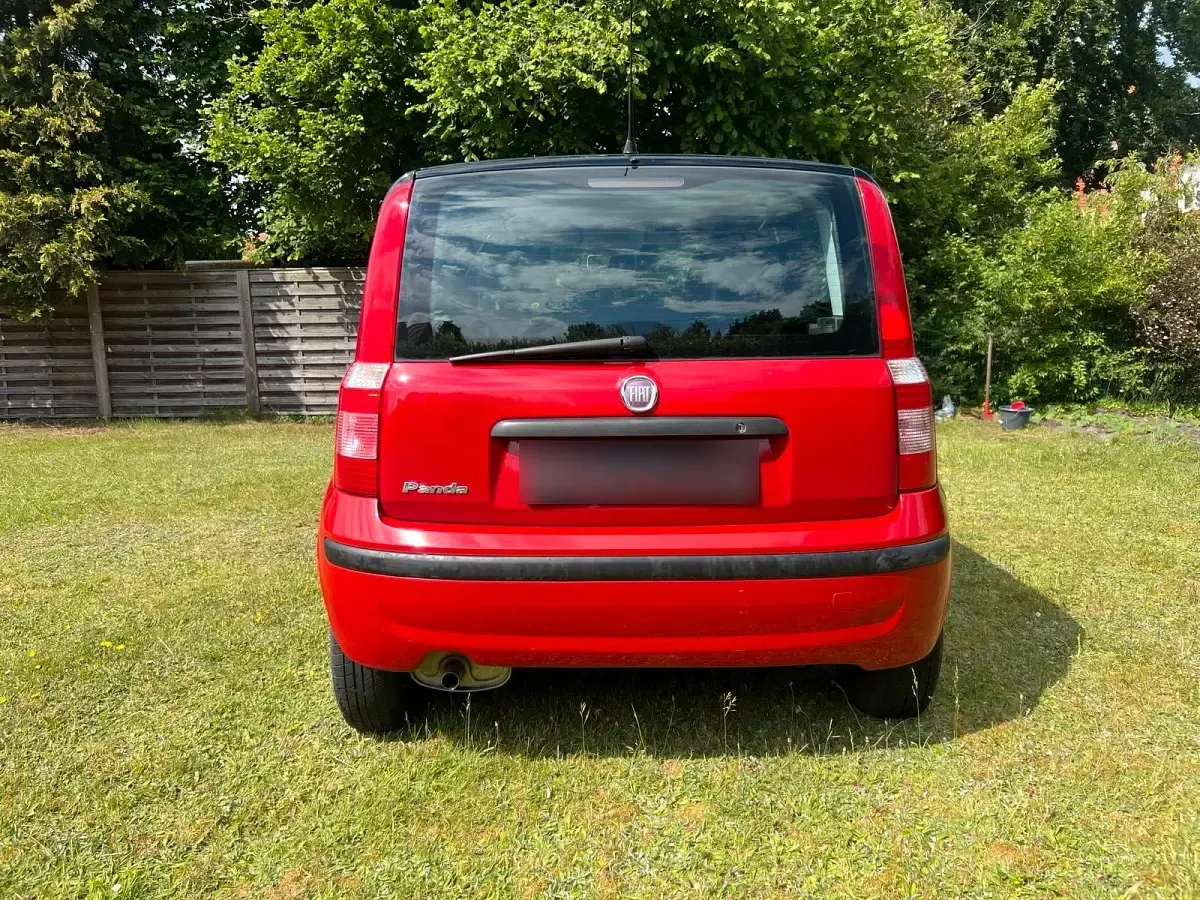 Gebraucht Fiat Panda 55 PS (40 kW) 2009 Rot Kleinwagen