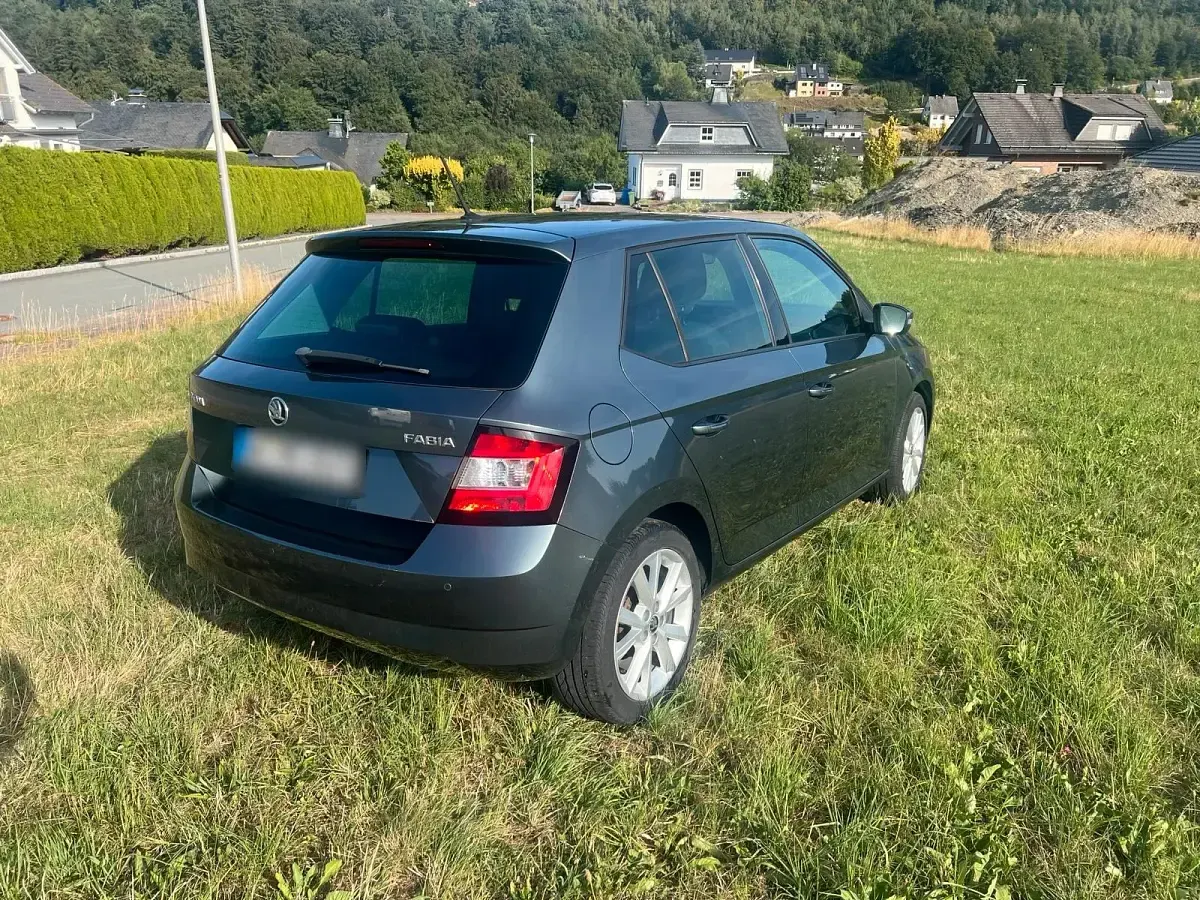 Gebraucht Skoda Fabia Joy 75 PS (55 kW) 2016 Grau Kleinwagen