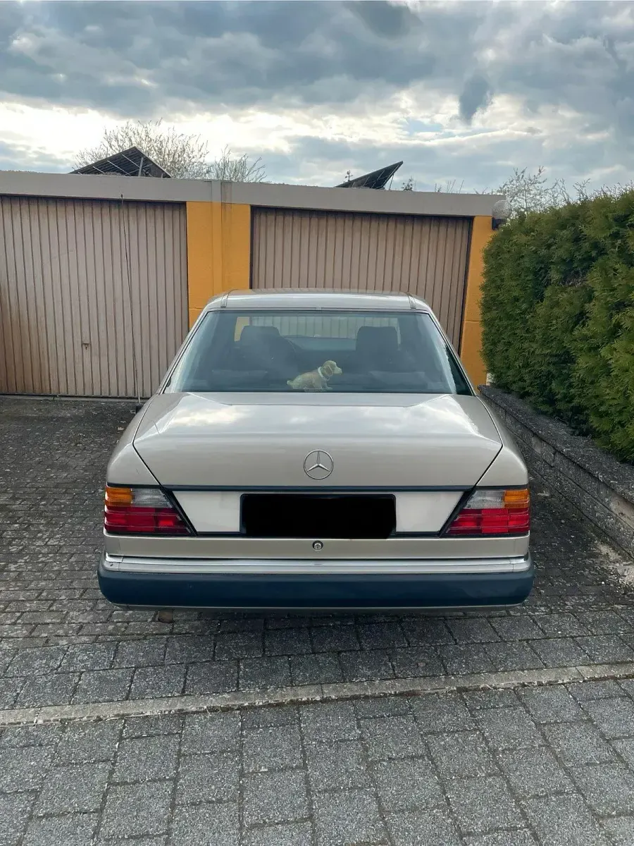 Gebraucht Mercedes E250 90 PS (66 kW) 1992 Limousine