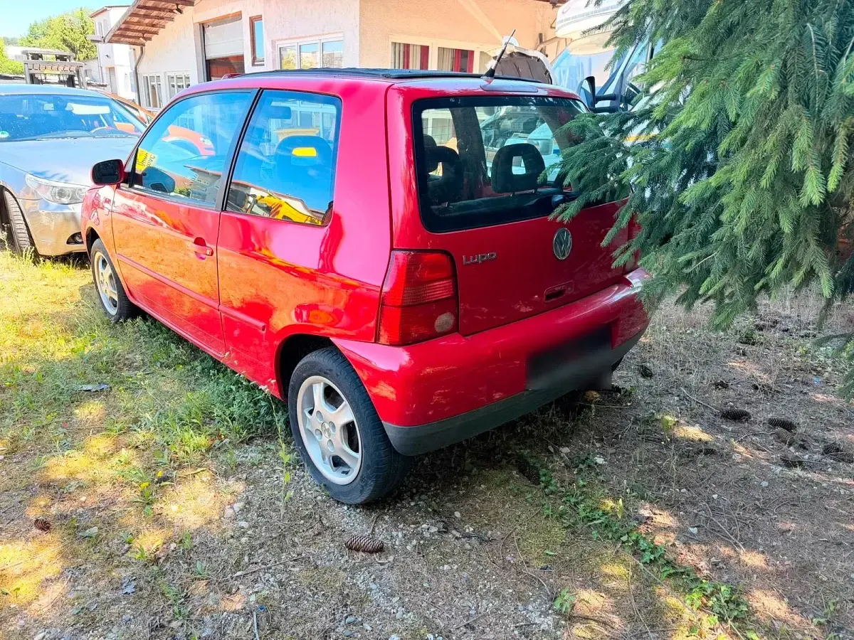 Gebraucht VW Lupo 80 PS (58 kW) 2000 Rot Kleinwagen