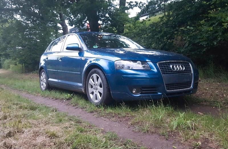 Gebraucht Audi A3 Sportback 116 PS (85 kW) 2004 Blau Kleinwagen
