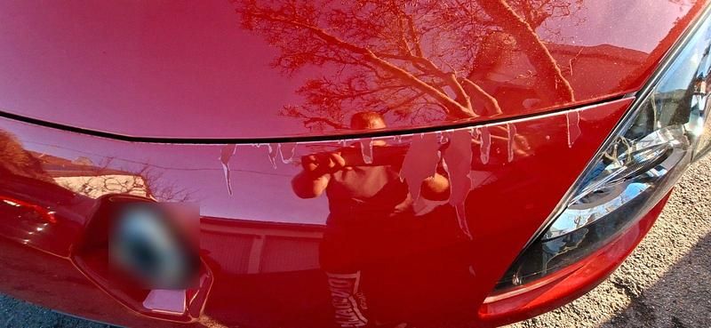 Gebraucht Renault Twingo 75 PS (55 kW) 2010 Rot Kleinwagen