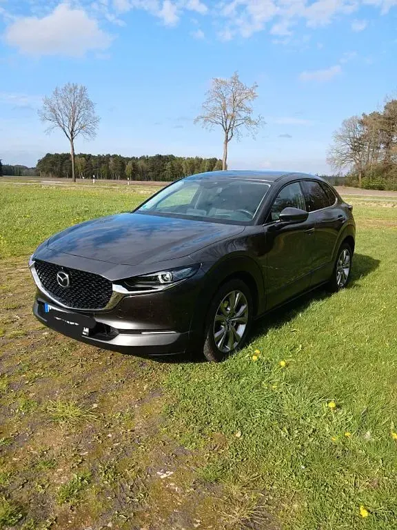 Gebraucht Mazda CX-30 Selection 150 PS (110 kW) 2020 Grau SUV