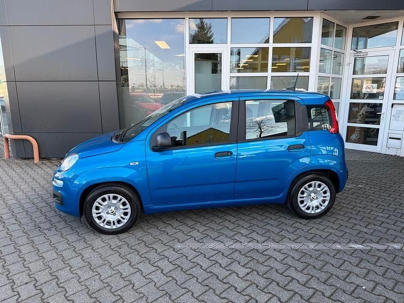 Neu Fiat Panda Icon 65 PS (47 kW) 2026 Blau Kleinwagen