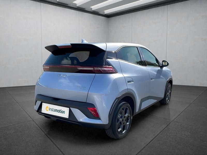 Neu BYD Dolphin 64 kW (88 PS) 2025 Blau Kleinwagen