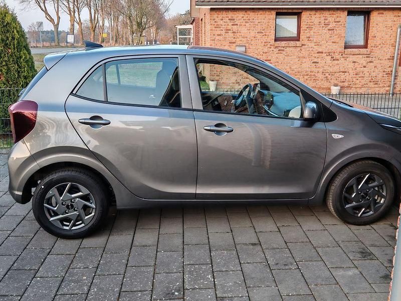 Neu Kia Picanto Vision 63 PS (46 kW) 2025 Grau Kleinwagen