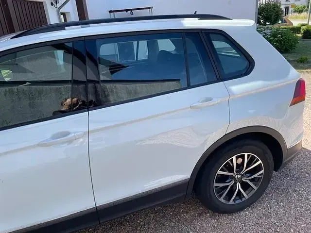Gebraucht VW Tiguan 150 PS (110 kW) 2022 Weiß SUV