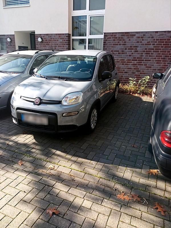 Grau Gebraucht 2023 Fiat Panda Kleinwagen | 12.250 € (Fairer Preis) - Bild 1/3