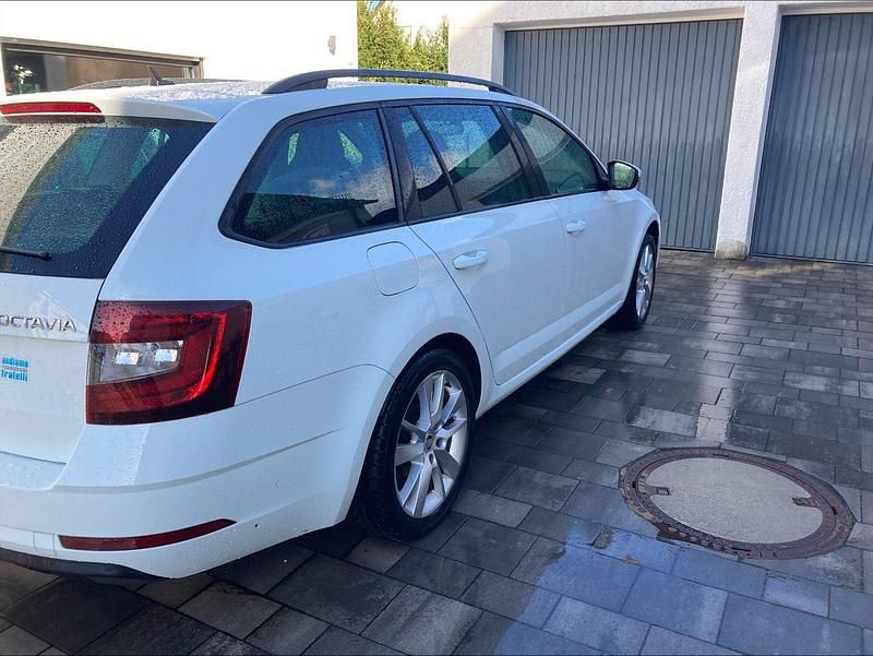 Weiß Gebraucht 2018 Skoda Octavia Kombi | 16.900 € (Fairer Preis) - Bild 1/3
