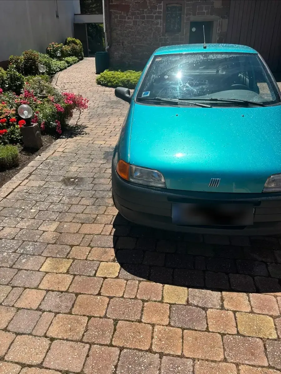 Gebraucht Fiat Punto 55 PS (40 kW) 1995 Grün Kleinwagen