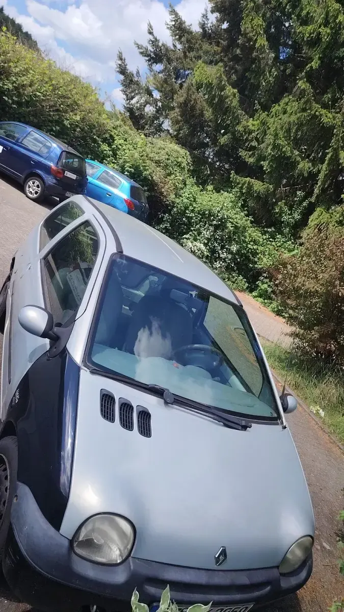 Gebraucht Renault Twingo 86 PS (63 kW) 2000 Grün Kleinwagen