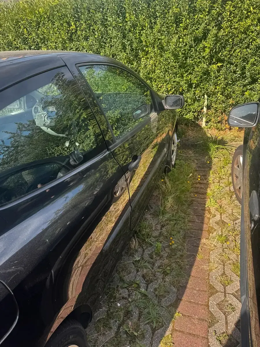 Gebraucht Renault Clio 75 PS (55 kW) 2006 Schwarz Kleinwagen