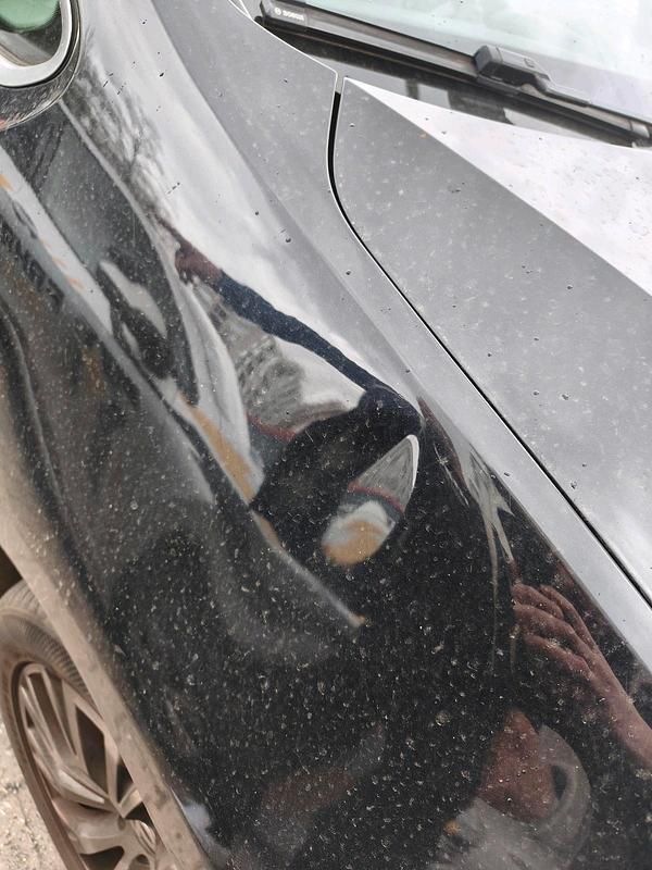 Second-hand VW Sharan 177 CP (130 kW) 2010 Albastru Monovolum