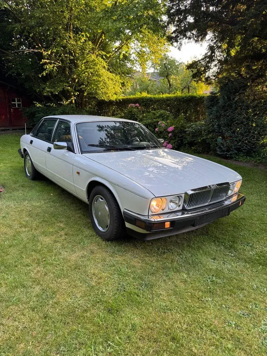 Gebraucht Jaguar XJ40 239 PS (175 kW) 1991 Weiß Limousine