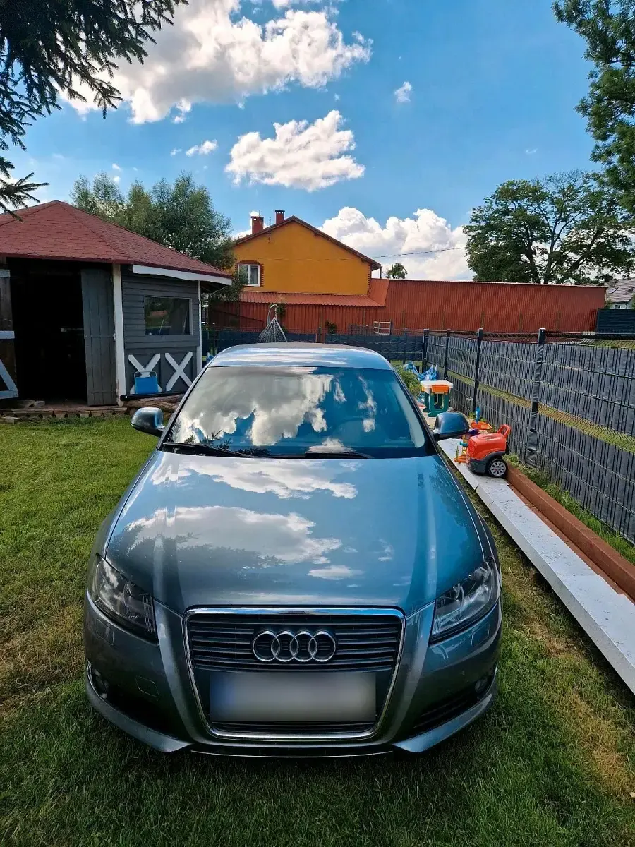 Gebraucht Audi A3 Sportback 105 PS (77 kW) 2008 Grün Kleinwagen