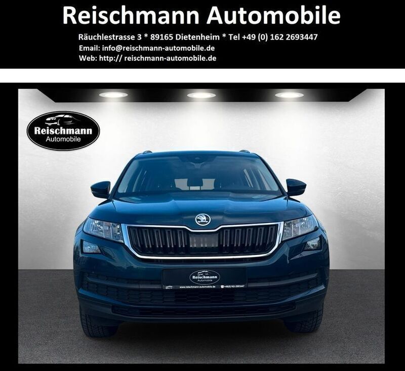 Blau Gebraucht 2019 Skoda Kodiaq Ambition SUV | 19.880 € (Guter Preis) - Bild 1/4