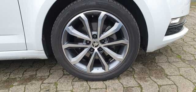 Gebraucht Skoda Octavia Drive 150 PS (110 kW) 2017 Weiß metallic Kombi