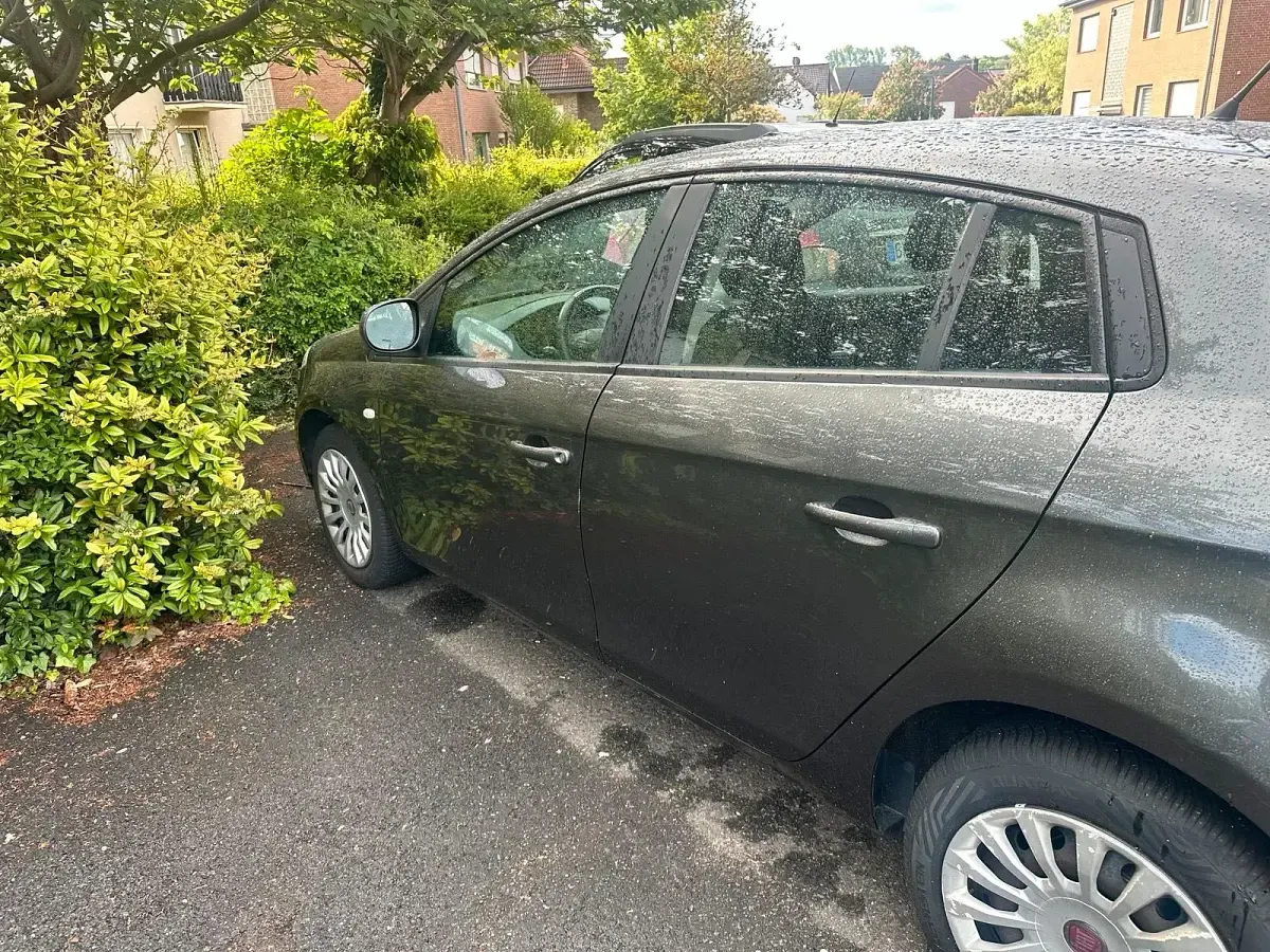 Gebraucht Fiat Bravo 90 PS (66 kW) 2013 Grau Kleinwagen