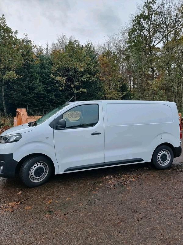 Gebraucht Toyota Proace 120 PS (88 kW) 2023 Weiß Van / Kleinbus
