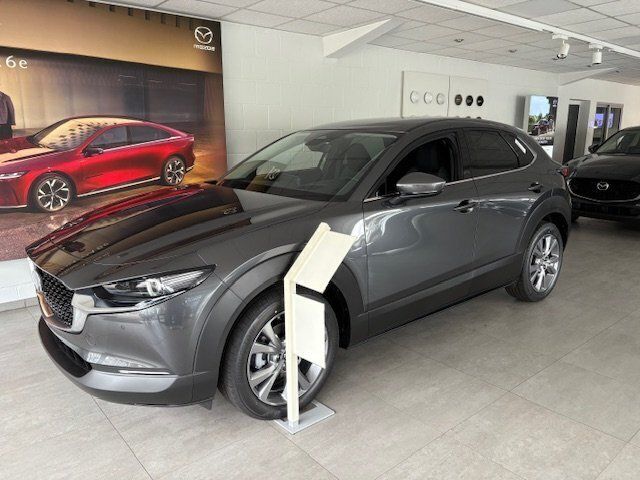 Grau Neu 2025 Mazda CX-30 Exclusive-Line SUV | 32.400 € - Bild 1/4