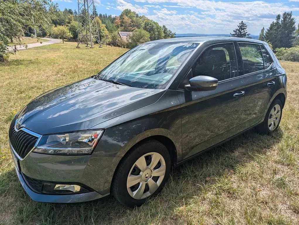 Gebraucht Skoda Fabia Ambition 75 PS (55 kW) 2019 Grau Kleinwagen