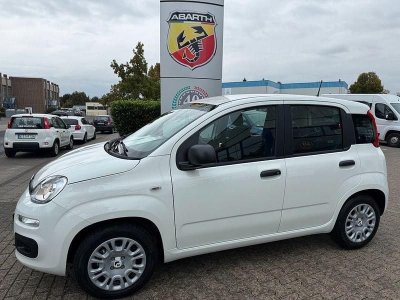 Weiß Neu 2025 Fiat Panda Icon Kleinwagen | 15.990 € (Fairer Preis) - Bild 1/4