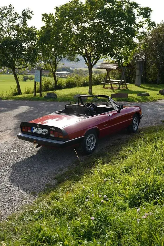 Gebraucht Alfa Romeo Spider 126 PS (92 kW) 1986 Cabrio