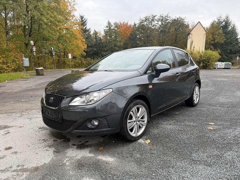 Grau Gebraucht 2010 Seat Ibiza Kleinwagen | 4.300 € (Fairer Preis) - Bild 1/4