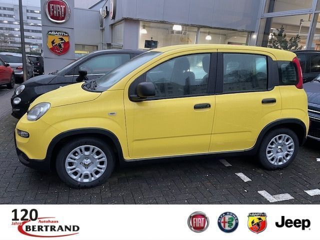 Gelb Neu 2024 Fiat Panda Kleinwagen | 12.990 € - Bild 1/4