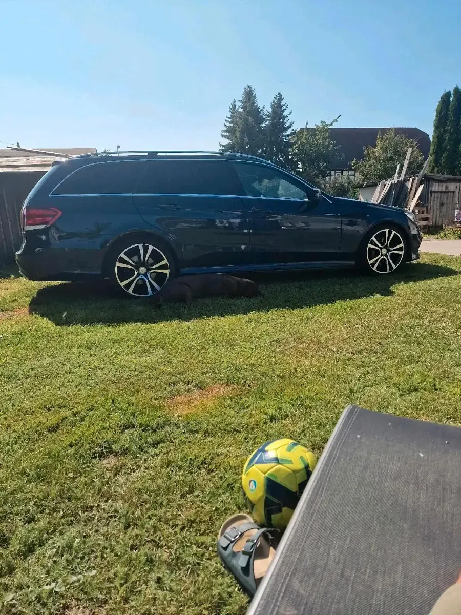 Gebraucht Mercedes E350 AMG 258 PS (189 kW) 2016 Blau Kombi