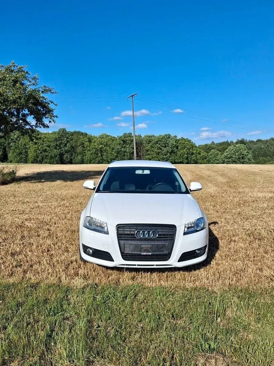 Gebraucht Audi A3 Ambition 125 PS (91 kW) 2009 Weiß Kleinwagen