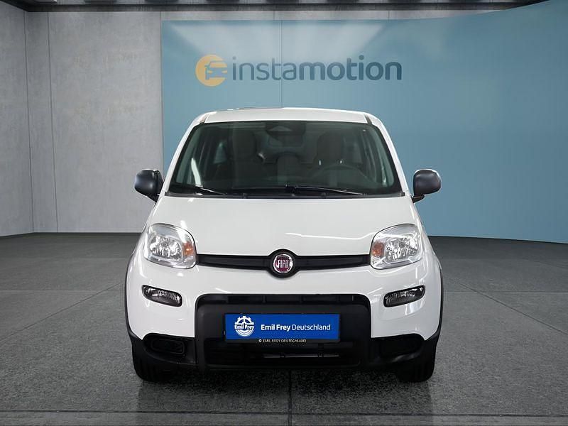 Neu Fiat Panda 69 PS (50 kW) 2025 Weiß Kleinwagen