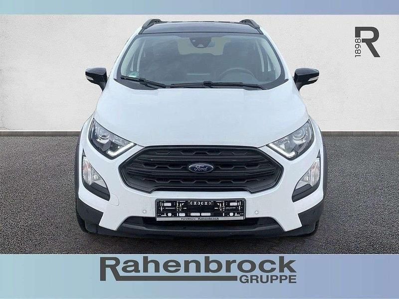 Gebraucht Ford Ecosport Active 125 PS (91 kW) 2022 Weiß SUV