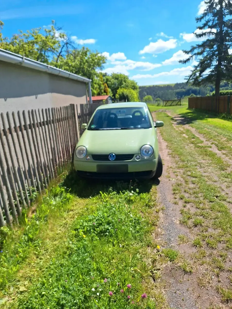 Używany VW Lupo 65 KM (47 kW) 2003 Zielony Hatchback