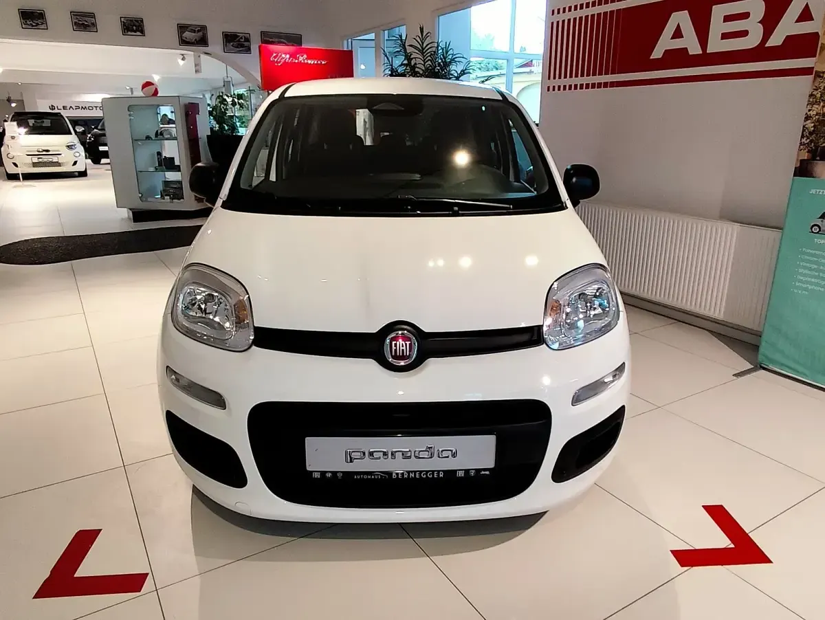 Neu Fiat Panda Icon 65 PS (47 kW) 2026 Weiß Kleinwagen
