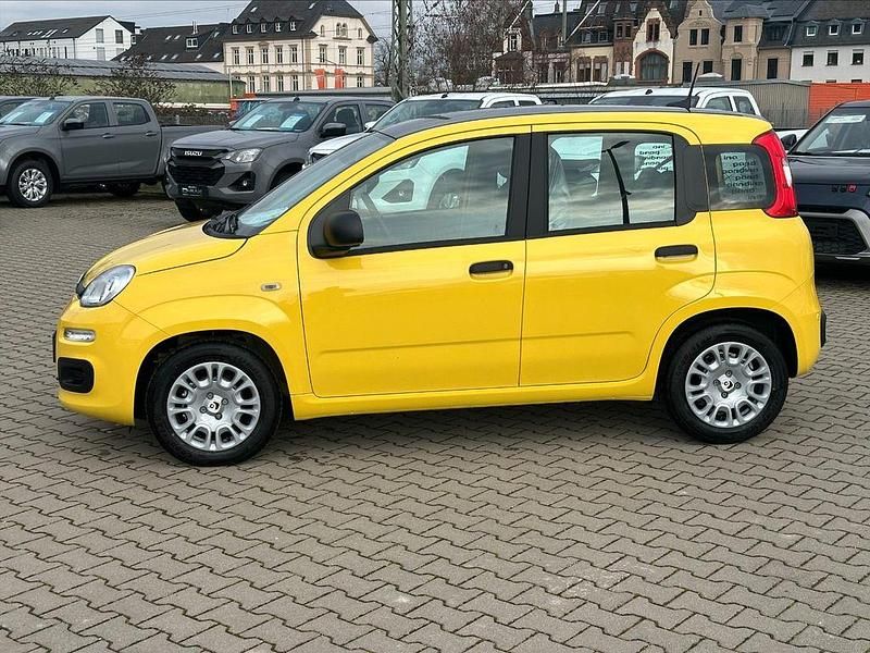 Neu Fiat Panda Icon 69 PS (50 kW) 2026 Gelb Limousine