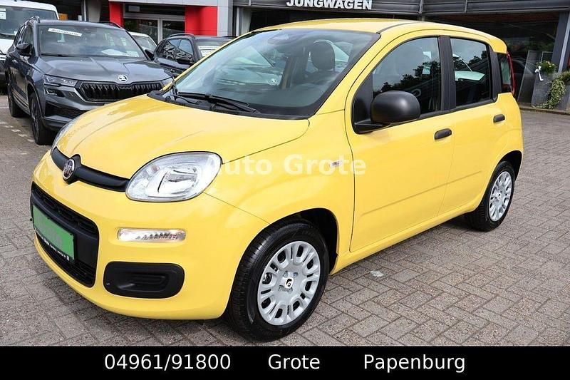 Neu Fiat Panda 69 PS (50 kW) 2025 Gelb Kleinwagen
