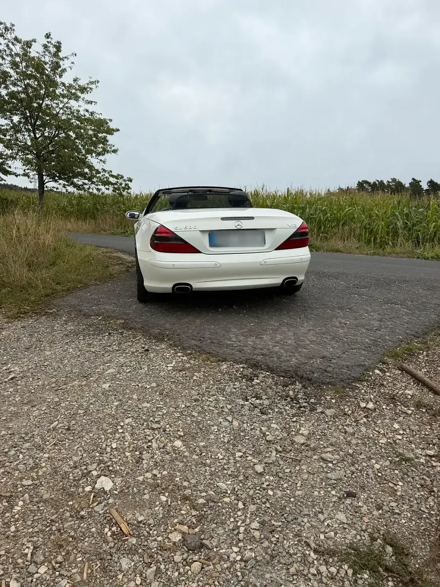 Gebraucht Mercedes SL600 500 PS (367 kW) 2003 Weiß Cabrio