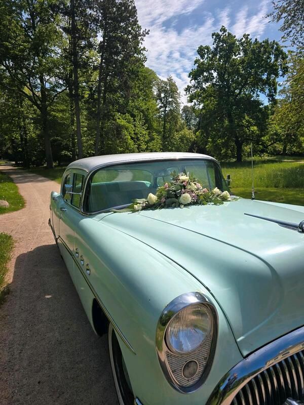Gebraucht 1954 Buick Special Limousine | 25.400 € - Bild 1/4