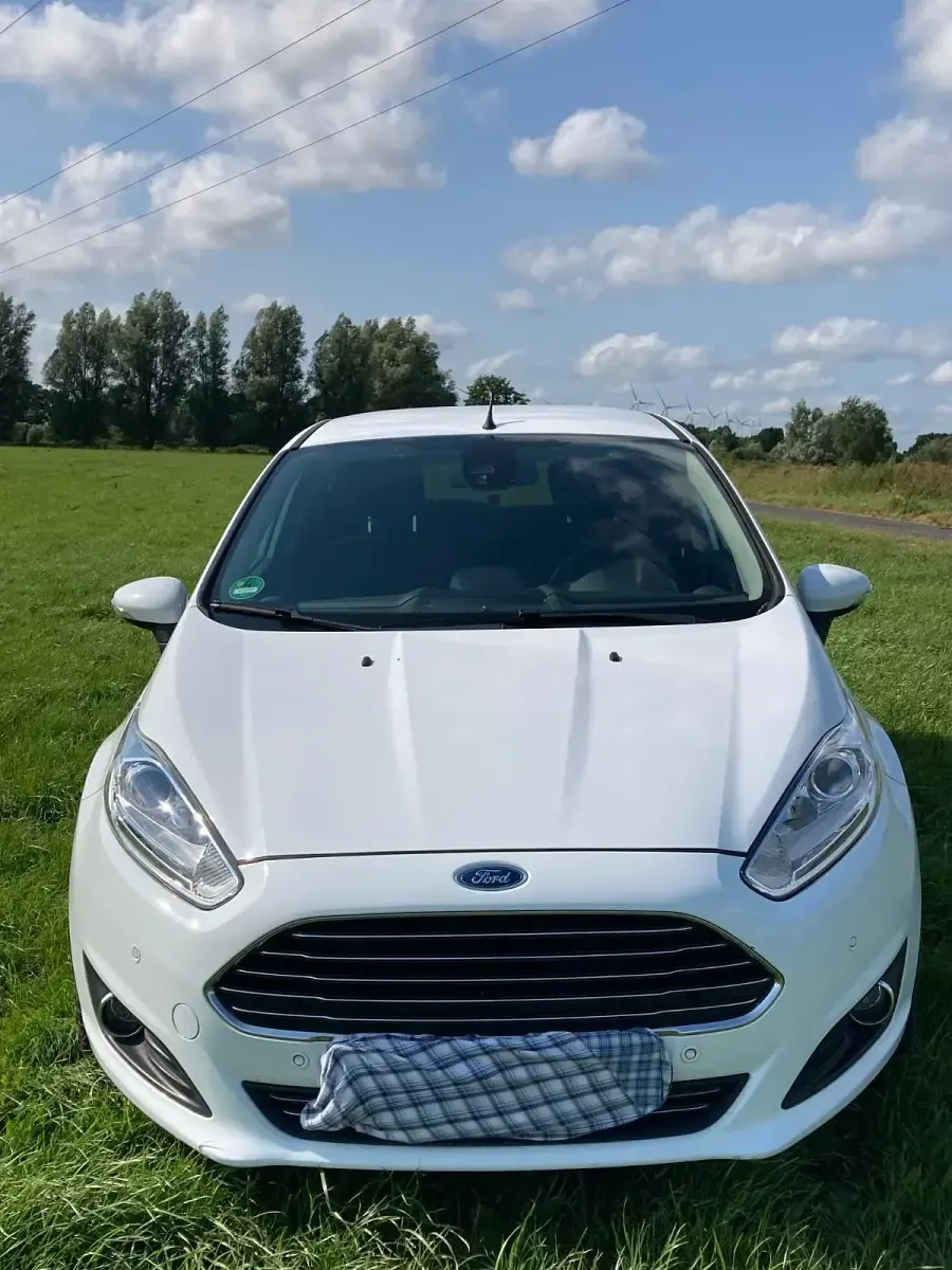 Gebraucht Ford Fiesta Titanium 125 PS (91 kW) 2015 Weiß Kleinwagen