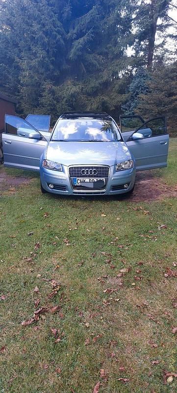 Gebraucht Audi A3 Sportback 115 PS (84 kW) 2007 Kleinwagen