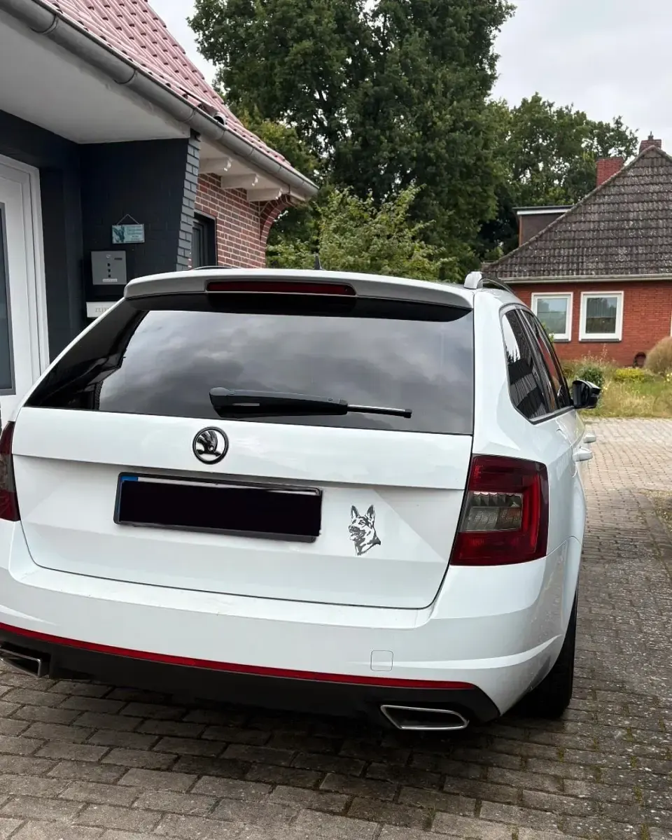 Gebraucht Skoda Octavia vRS 184 PS (135 kW) 2016 Weiß Kombi