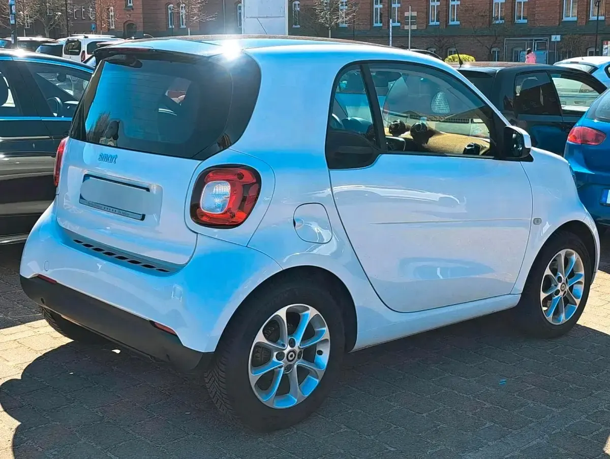 Gebraucht Smart ForTwo Coupé 90 PS (66 kW) 2019 Weiß Coupé