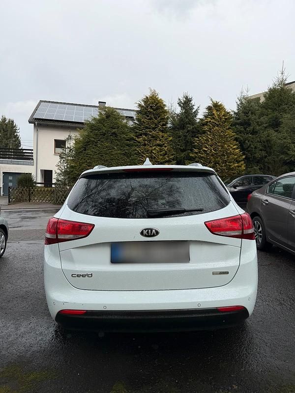Gebraucht Kia Ceed 136 PS (100 kW) 2018 Weiß Kleinwagen